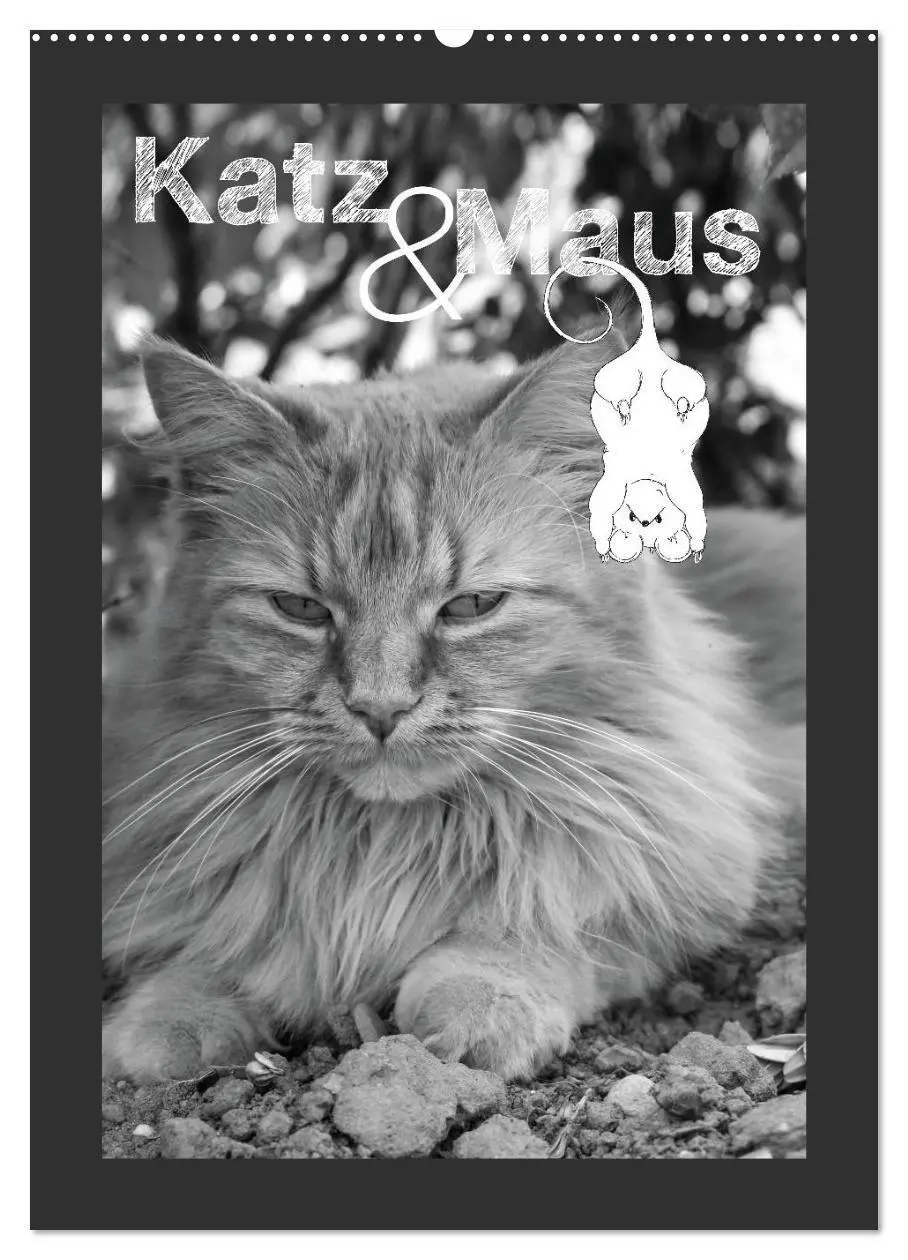Cover: 9783594146187 | Katz &amp; Maus (Wandkalender 2027 DIN A2 hoch), CALVENDO Monatskalender