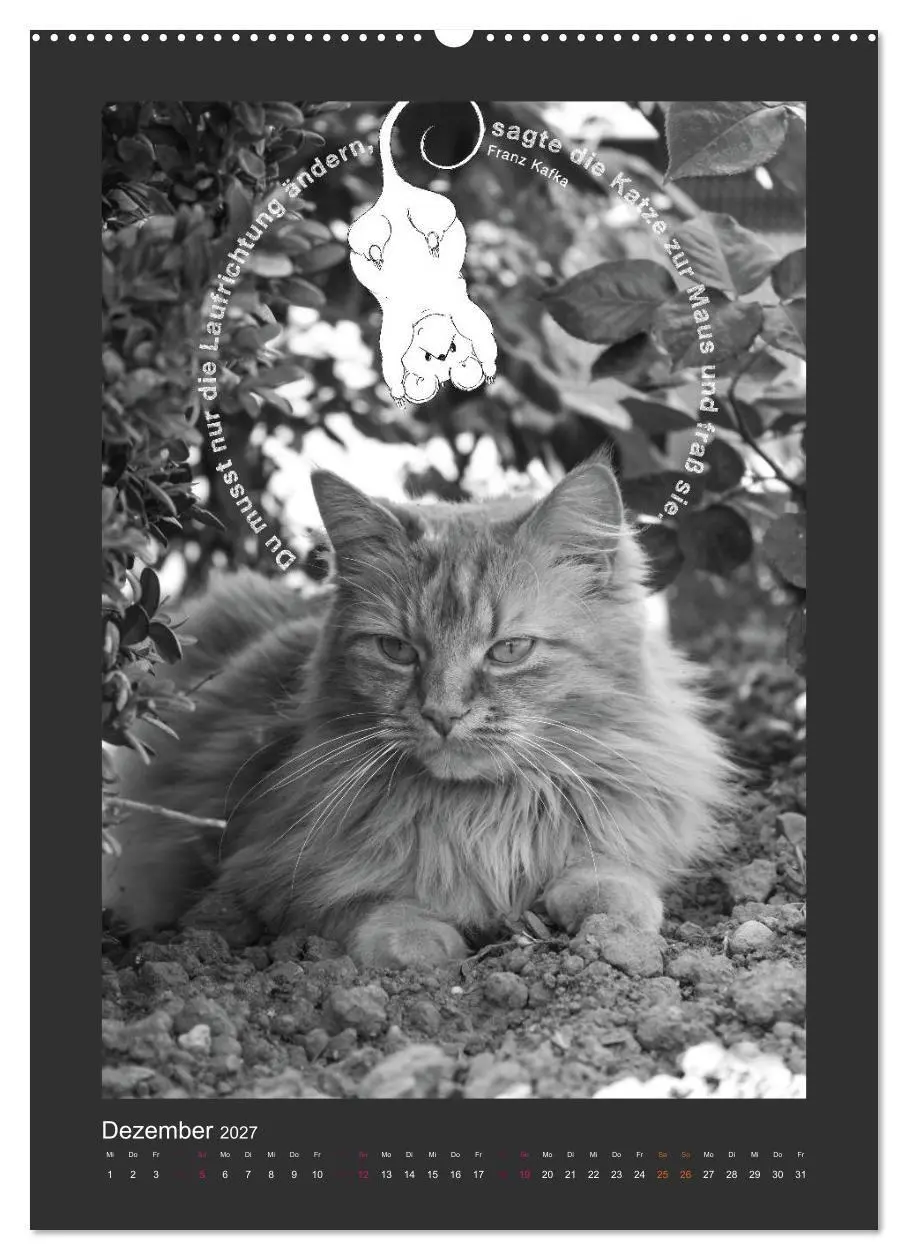Bild: 9783594146187 | Katz &amp; Maus (Wandkalender 2027 DIN A2 hoch), CALVENDO Monatskalender