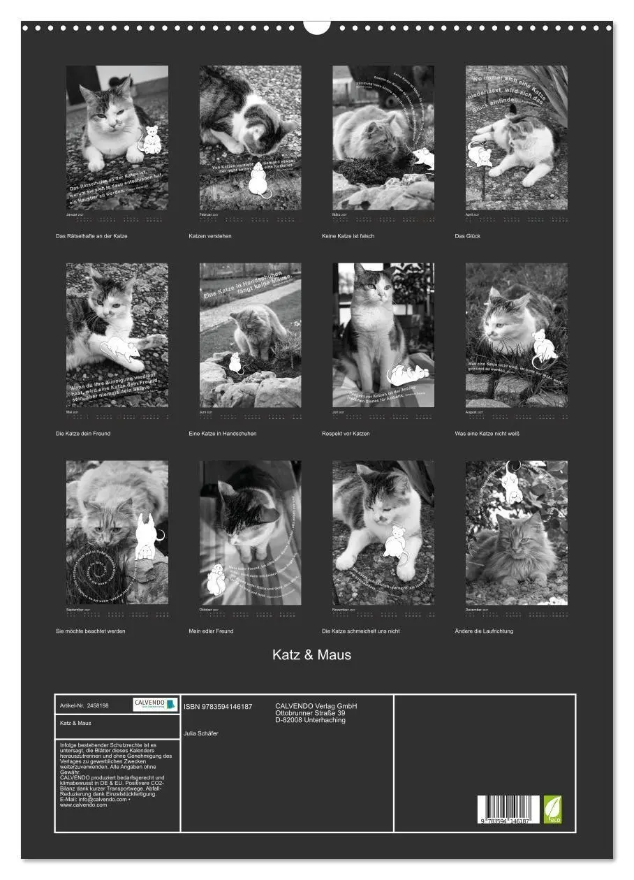 Bild: 9783594146187 | Katz &amp; Maus (Wandkalender 2027 DIN A2 hoch), CALVENDO Monatskalender