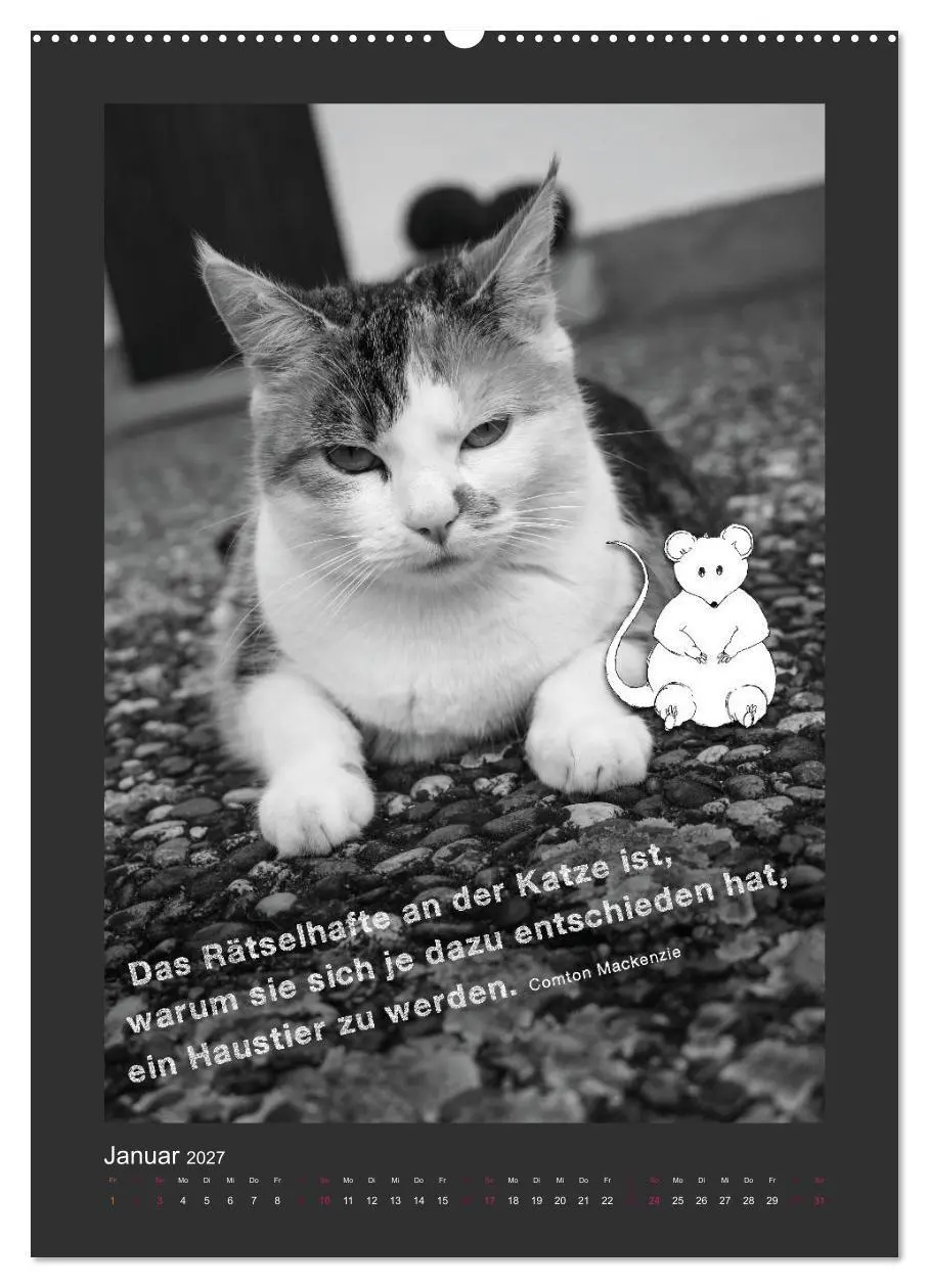 Bild: 9783594146187 | Katz &amp; Maus (Wandkalender 2027 DIN A2 hoch), CALVENDO Monatskalender