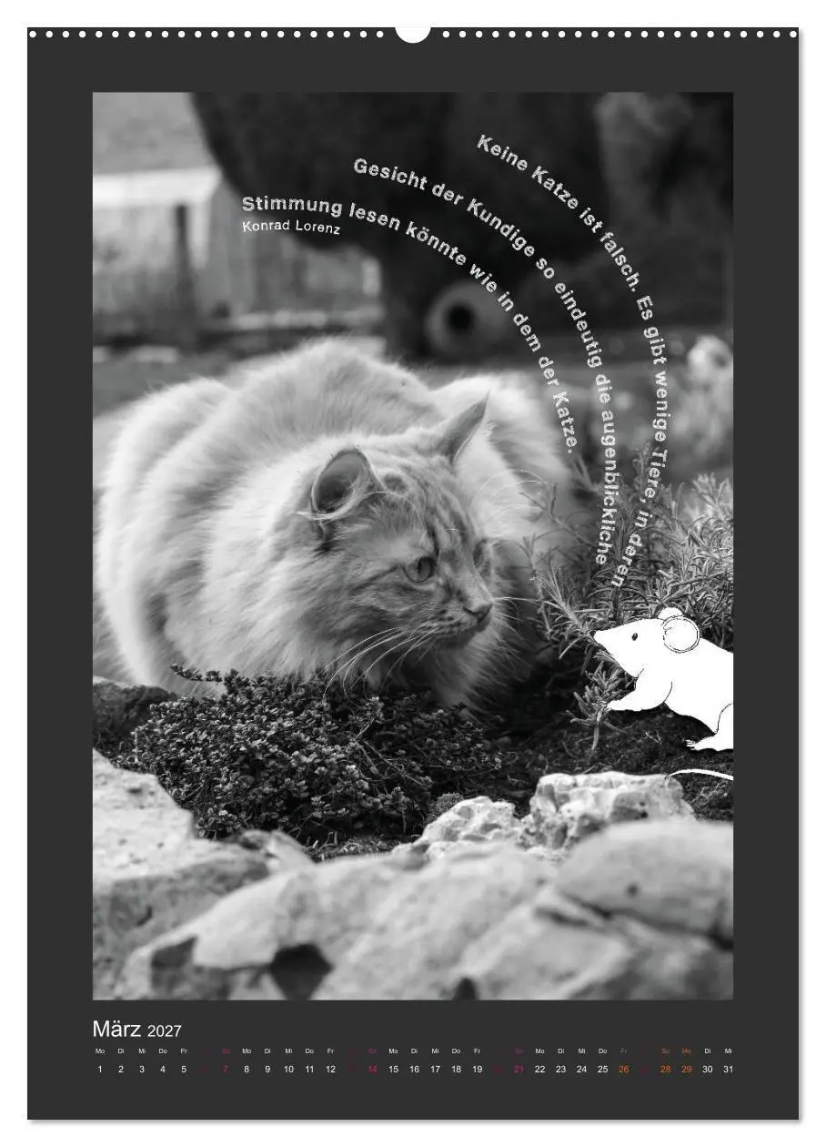 Bild: 9783594146187 | Katz &amp; Maus (Wandkalender 2027 DIN A2 hoch), CALVENDO Monatskalender
