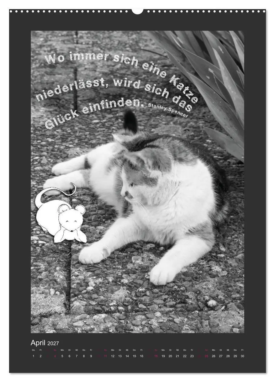 Bild: 9783594146187 | Katz &amp; Maus (Wandkalender 2027 DIN A2 hoch), CALVENDO Monatskalender