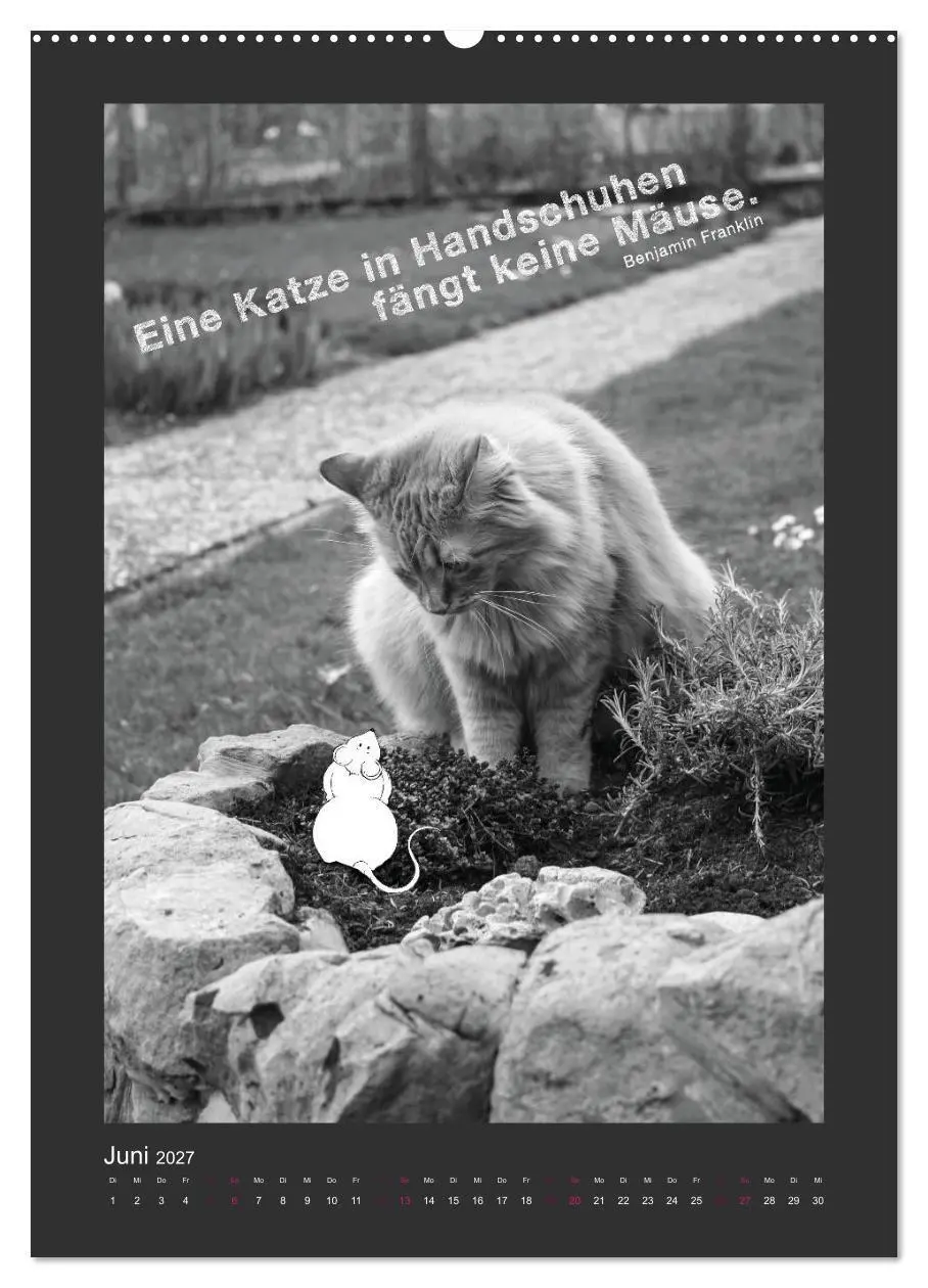 Bild: 9783594146187 | Katz &amp; Maus (Wandkalender 2027 DIN A2 hoch), CALVENDO Monatskalender