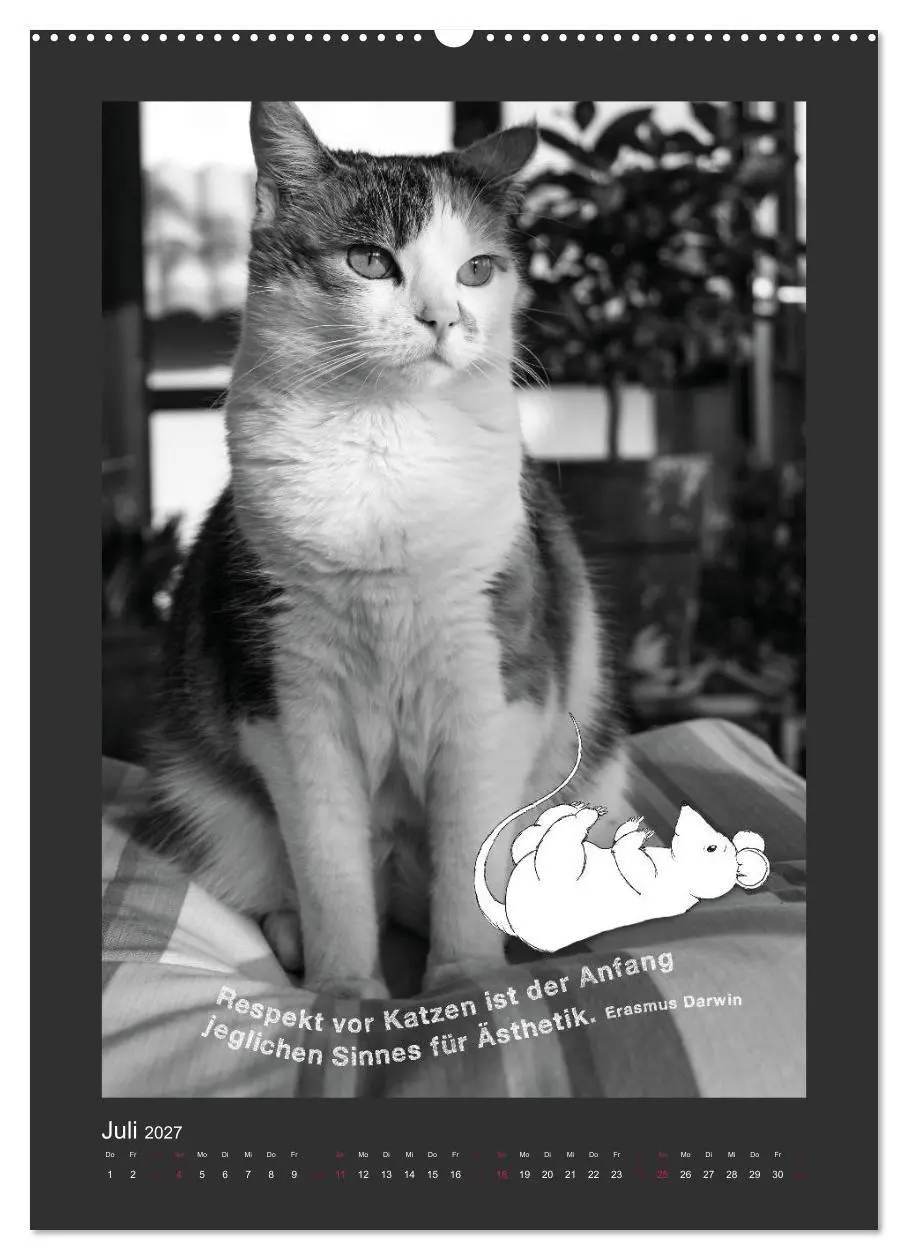 Bild: 9783594146187 | Katz &amp; Maus (Wandkalender 2027 DIN A2 hoch), CALVENDO Monatskalender