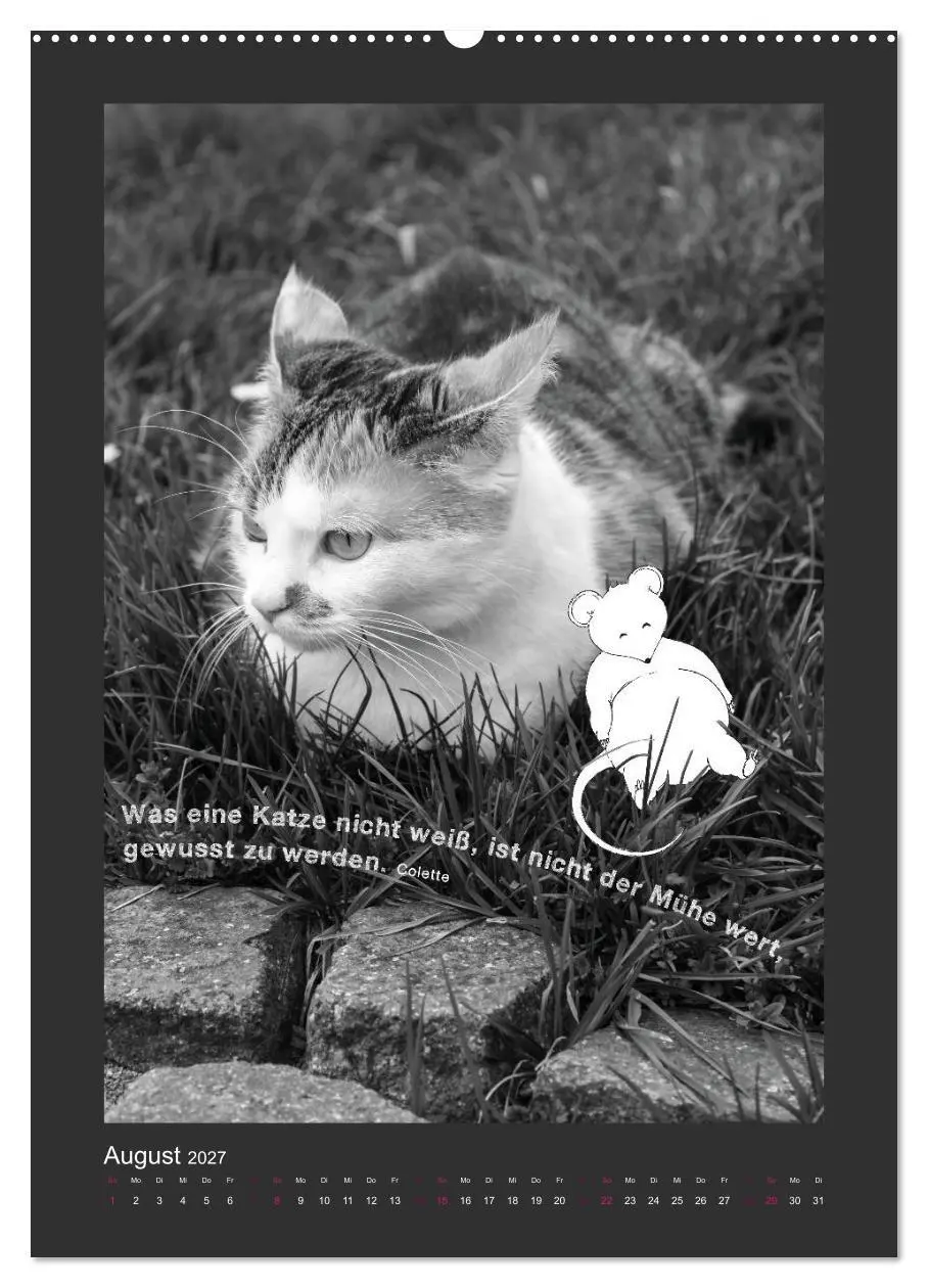 Bild: 9783594146187 | Katz &amp; Maus (Wandkalender 2027 DIN A2 hoch), CALVENDO Monatskalender