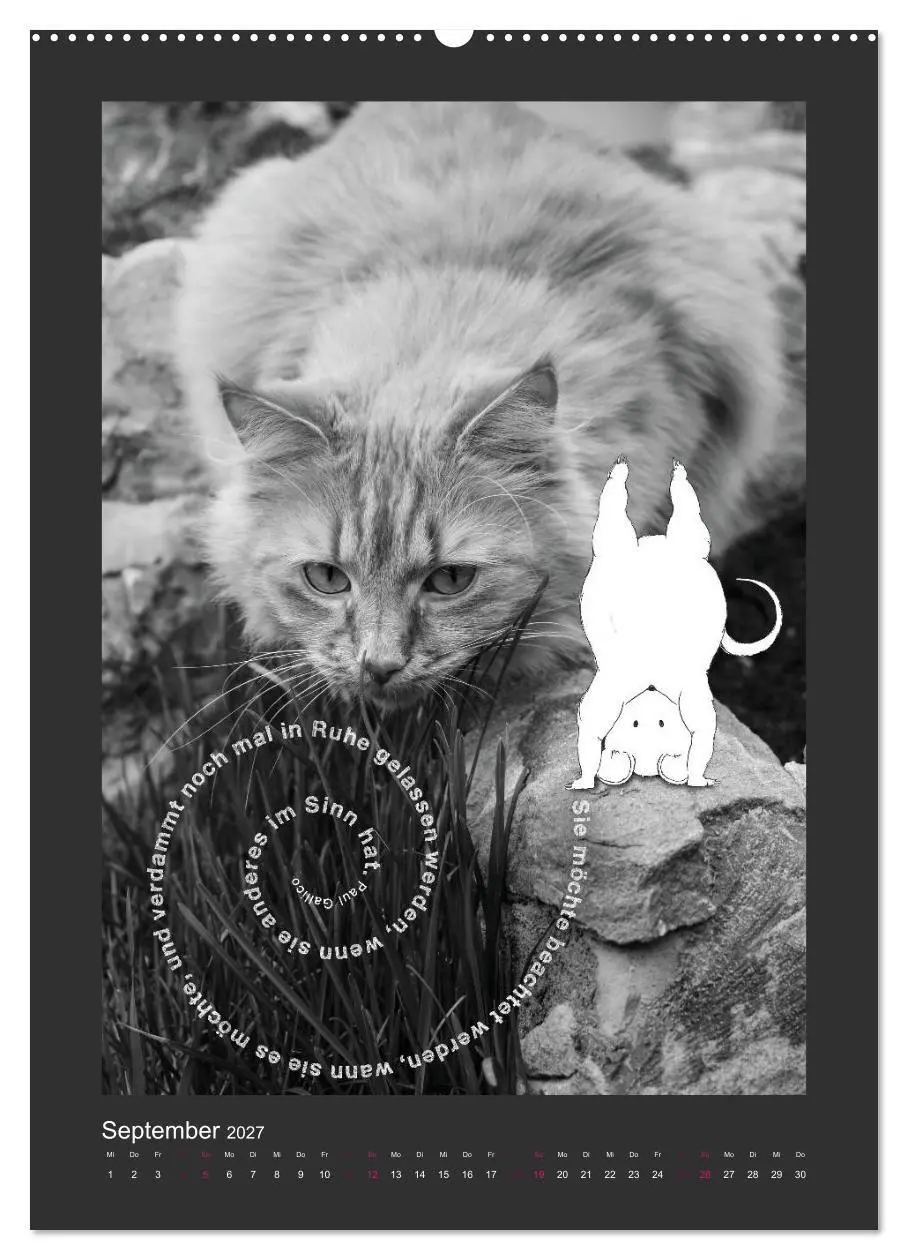 Bild: 9783594146187 | Katz &amp; Maus (Wandkalender 2027 DIN A2 hoch), CALVENDO Monatskalender