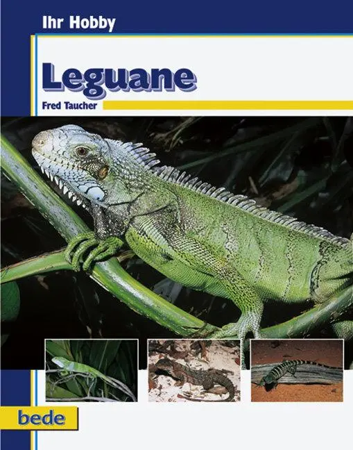 Cover: 9783933646187 | Ihr Hobby Leguane | Fred Taucher | Buch | 96 S. | Deutsch | 2009
