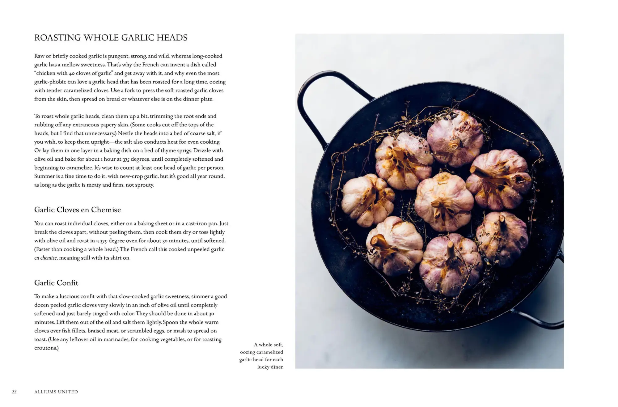 Bild: 9781579656287 | David Tanis Market Cooking | David Tanis | Buch | Gebunden | Englisch