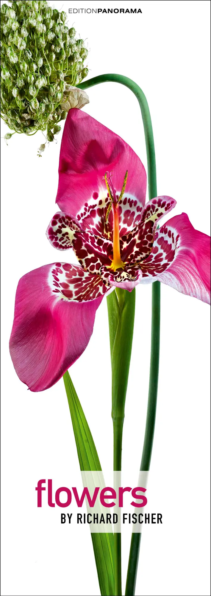Cover: 9783898236287 | Flowers | Immerwährender Vertikal-Kalender, 40 x 110 cm | Fischer