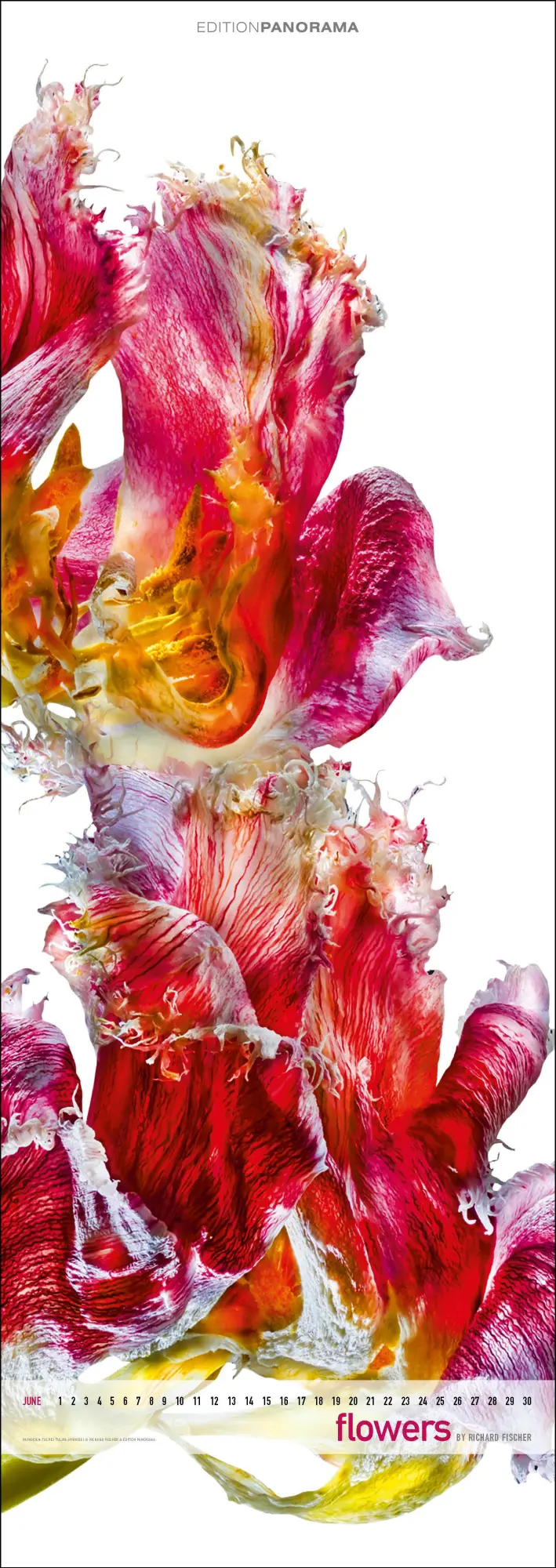 Bild: 9783898236287 | Flowers | Immerwährender Vertikal-Kalender, 40 x 110 cm | Fischer