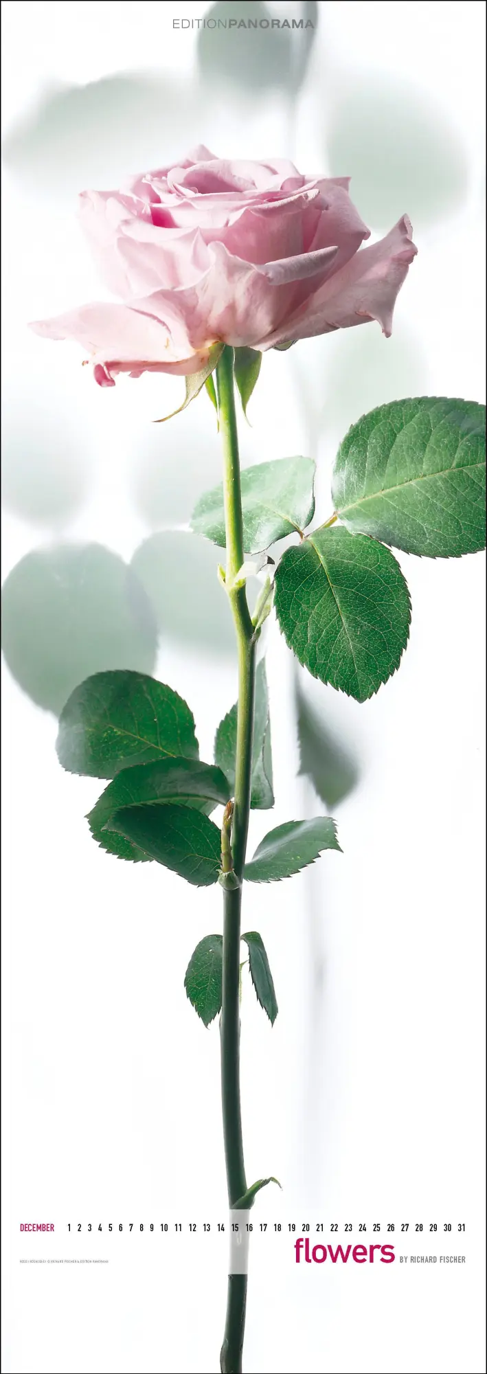 Bild: 9783898236287 | Flowers | Immerwährender Vertikal-Kalender, 40 x 110 cm | Fischer