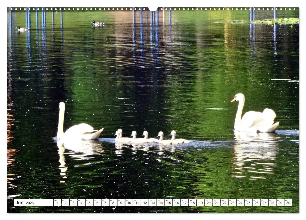 Bild: 9783457746387 | Oranienburg - Kleinod an der Havel (Wandkalender 2026 DIN A2 quer),...