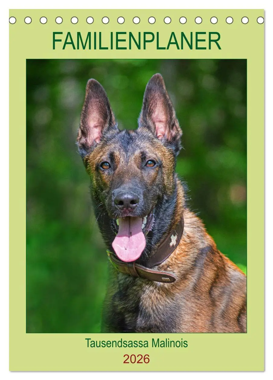 Cover: 9783516386387 | Familienplaner Tausendsassa Malinois (Tischkalender 2026 DIN A5...