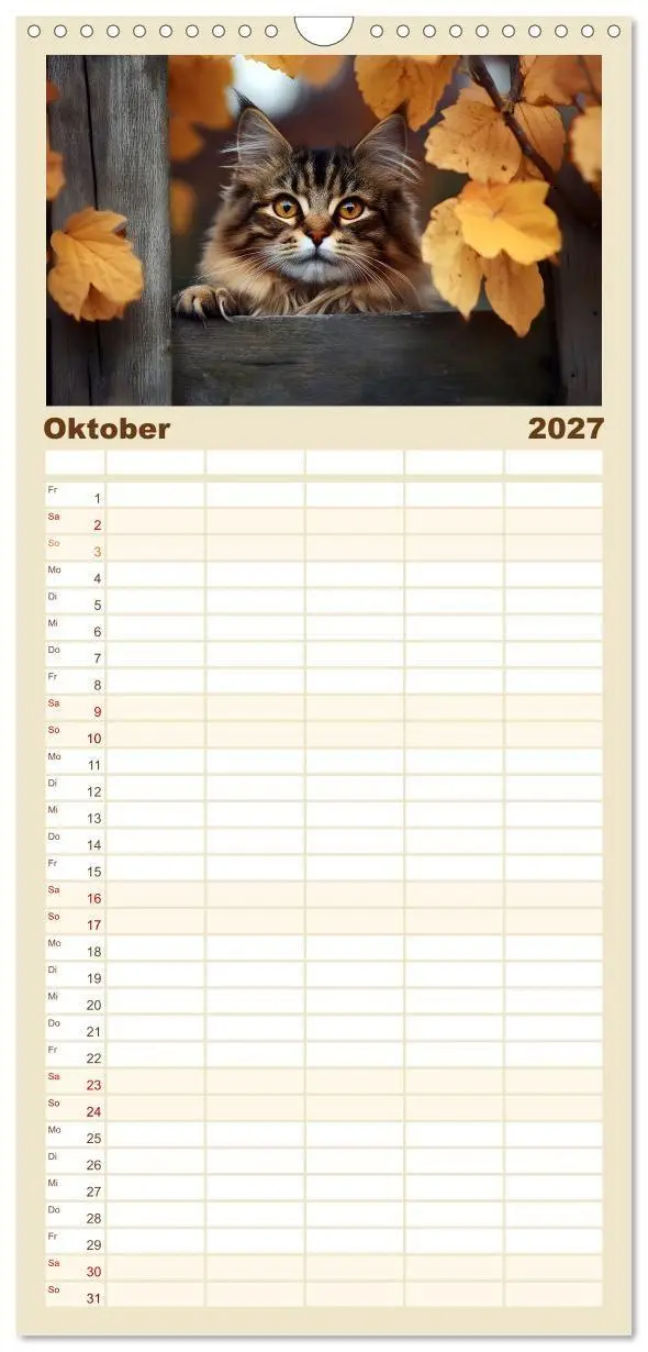 Bild: 9783594296387 | Familienplaner 2027 - Katzen - sanfte Schönheiten mit 5 Spalten...