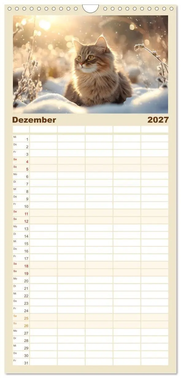 Bild: 9783594296387 | Familienplaner 2027 - Katzen - sanfte Schönheiten mit 5 Spalten...