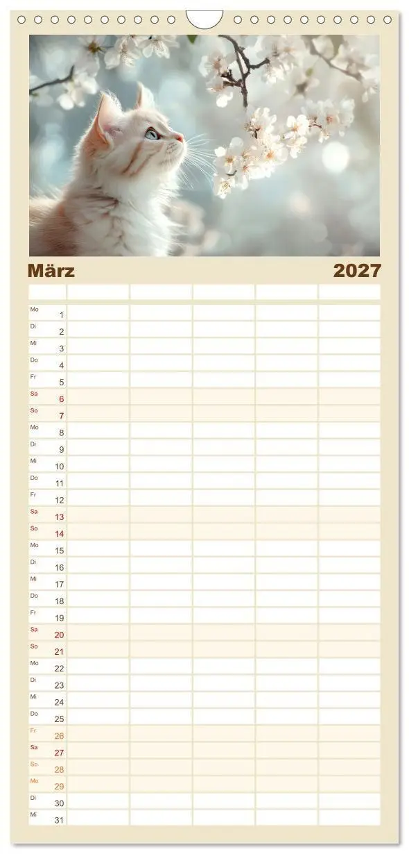 Bild: 9783594296387 | Familienplaner 2027 - Katzen - sanfte Schönheiten mit 5 Spalten...