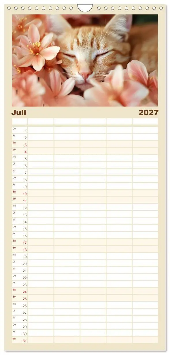 Bild: 9783594296387 | Familienplaner 2027 - Katzen - sanfte Schönheiten mit 5 Spalten...