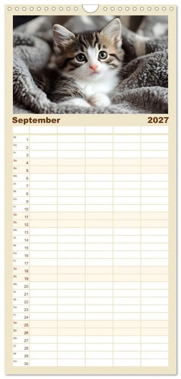 Bild: 9783594296387 | Familienplaner 2027 - Katzen - sanfte Schönheiten mit 5 Spalten...