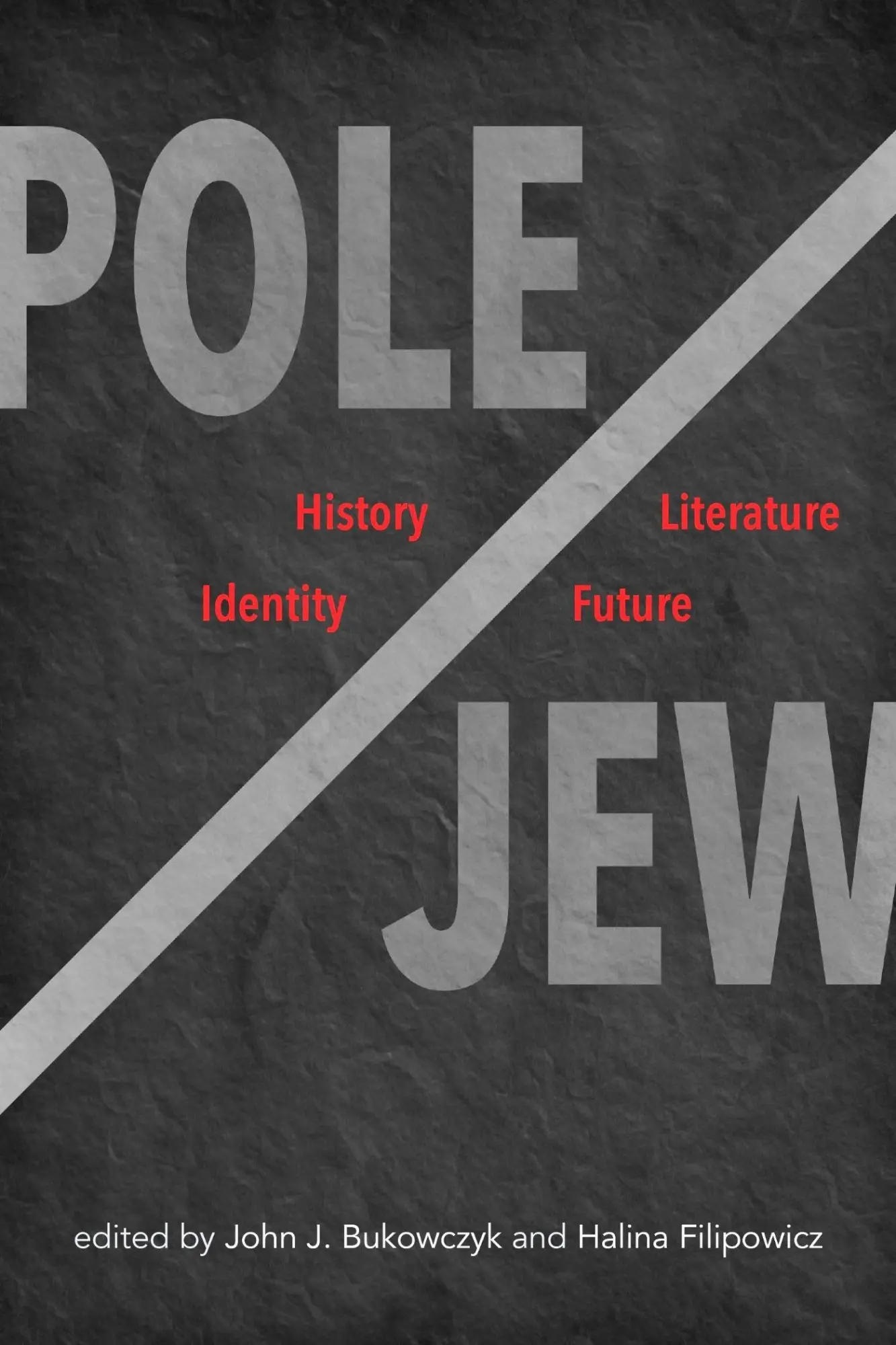 Cover: 9780821426487 | Pole/Jew | History, Literature, Identity, Future | Filipowicz (u. a.)