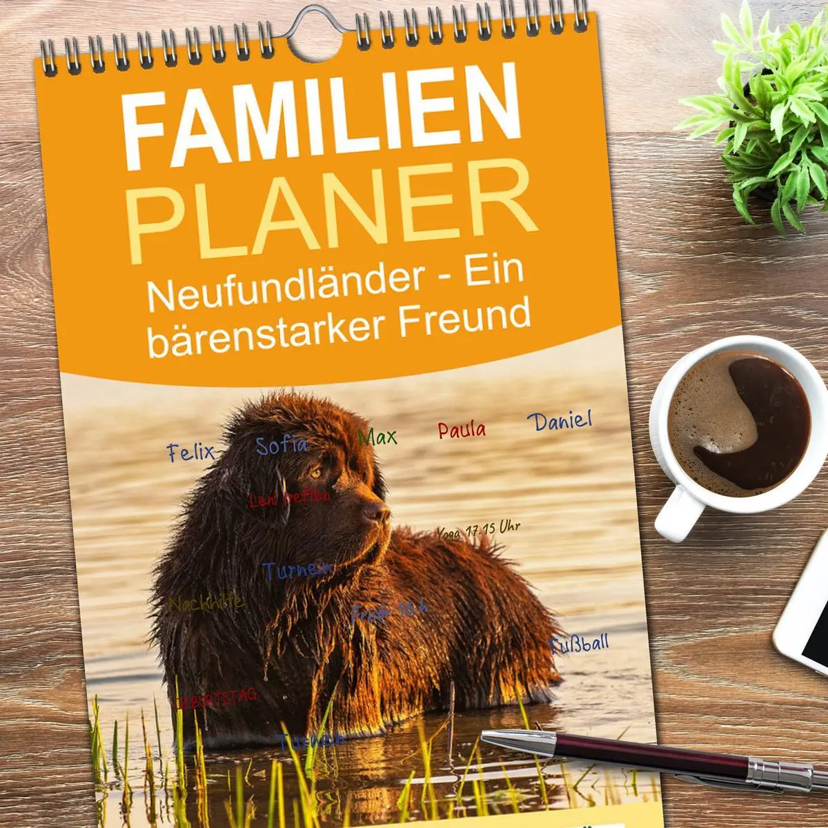 Bild: 9783516516487 | Familienplaner 2026 - Neufundländer - Ein bärenstarker Freund mit 5...