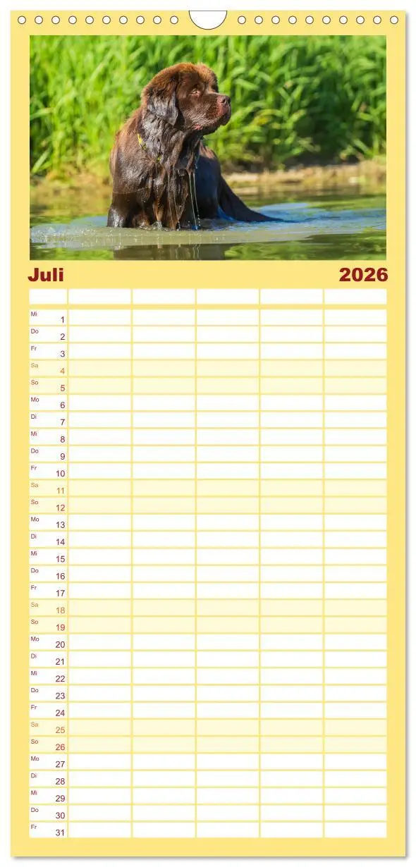 Bild: 9783516516487 | Familienplaner 2026 - Neufundländer - Ein bärenstarker Freund mit 5...