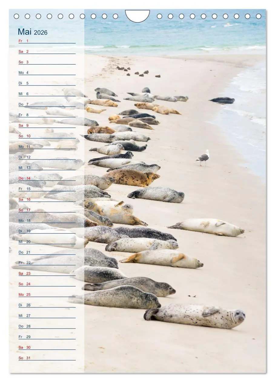 Bild: 9783516366587 | Maritim - Geburtstagskalender (Wandkalender 2026 DIN A4 hoch),...