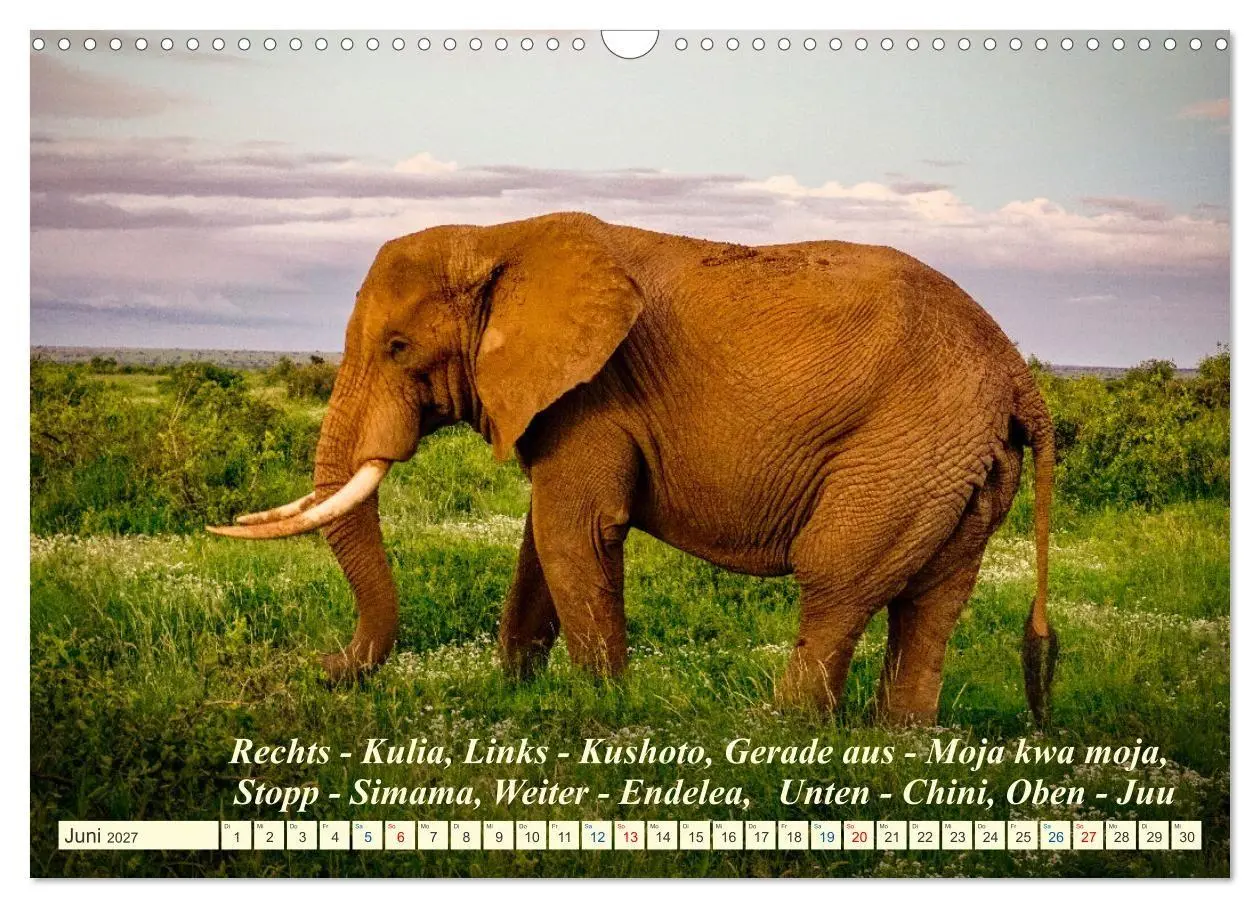 Bild: 9783569526587 | Jambo Kenya (Wandkalender 2027 DIN A3 quer), CALVENDO Monatskalender
