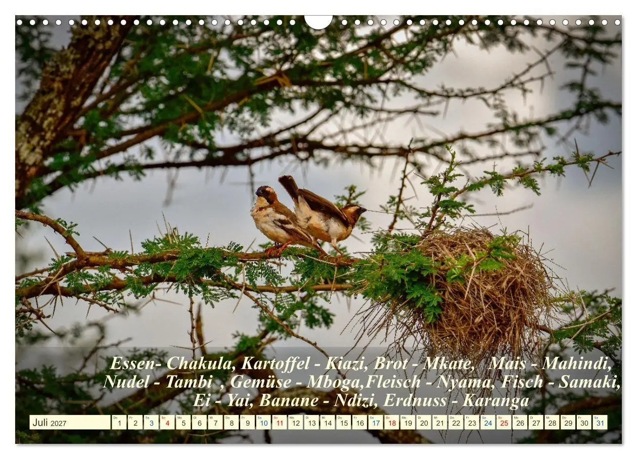 Bild: 9783569526587 | Jambo Kenya (Wandkalender 2027 DIN A3 quer), CALVENDO Monatskalender