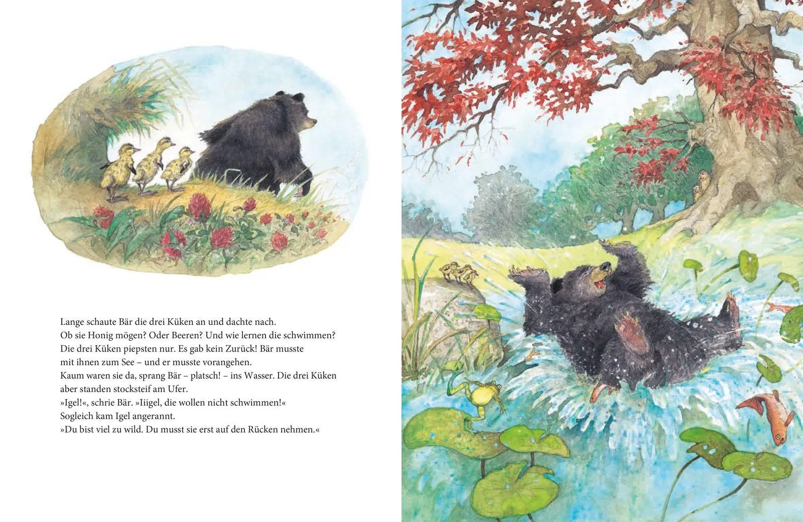 Bild: 9783737376587 | Das Große Buch von Bär und Igel | Dieter Schubert (u. a.) | Buch