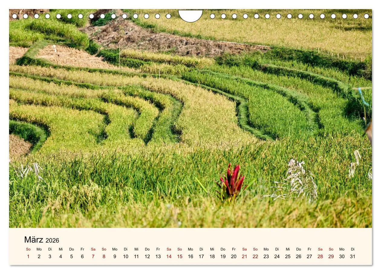 Bild: 9783457266687 | Sulawesi Im Reich der Torajas (Wandkalender 2026 DIN A4 quer),...