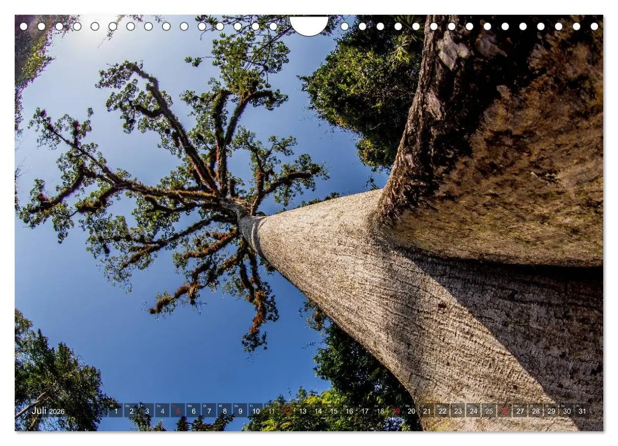 Bild: 9783457956687 | Belize - Guatemala (Wandkalender 2026 DIN A4 quer), CALVENDO...