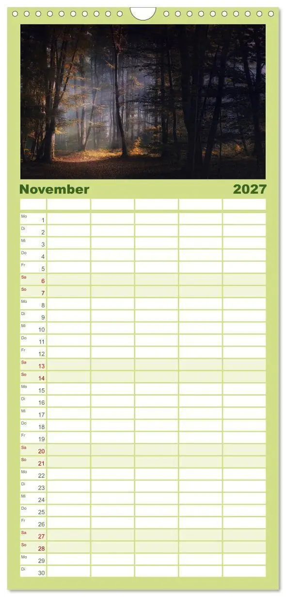 Bild: 9783594336687 | Familienplaner 2027 - Mysterium Wald mit 5 Spalten (Wandkalender,...