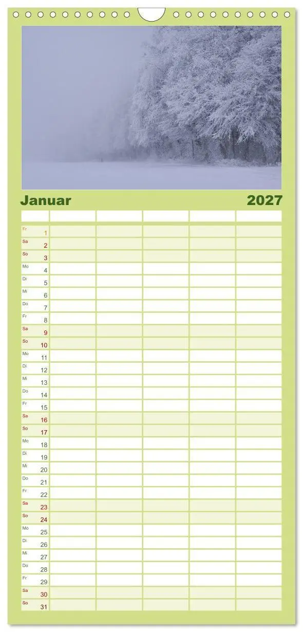 Bild: 9783594336687 | Familienplaner 2027 - Mysterium Wald mit 5 Spalten (Wandkalender,...