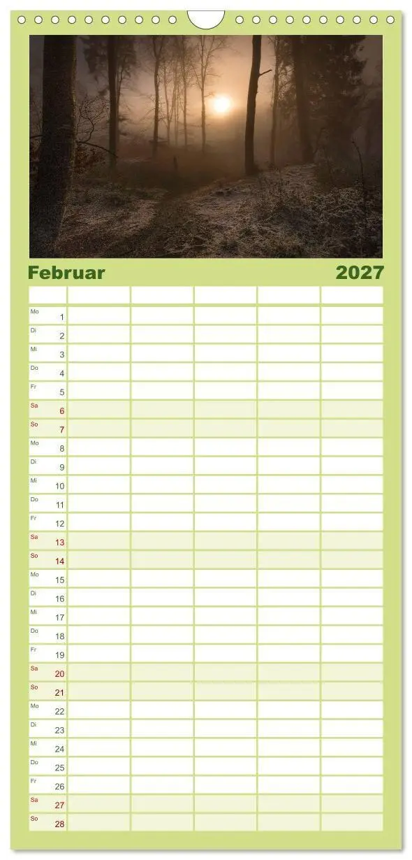 Bild: 9783594336687 | Familienplaner 2027 - Mysterium Wald mit 5 Spalten (Wandkalender,...
