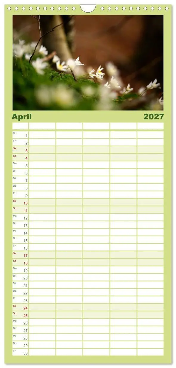 Bild: 9783594336687 | Familienplaner 2027 - Mysterium Wald mit 5 Spalten (Wandkalender,...