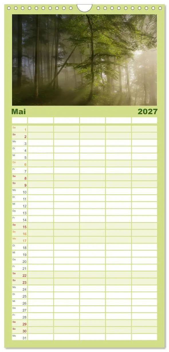 Bild: 9783594336687 | Familienplaner 2027 - Mysterium Wald mit 5 Spalten (Wandkalender,...