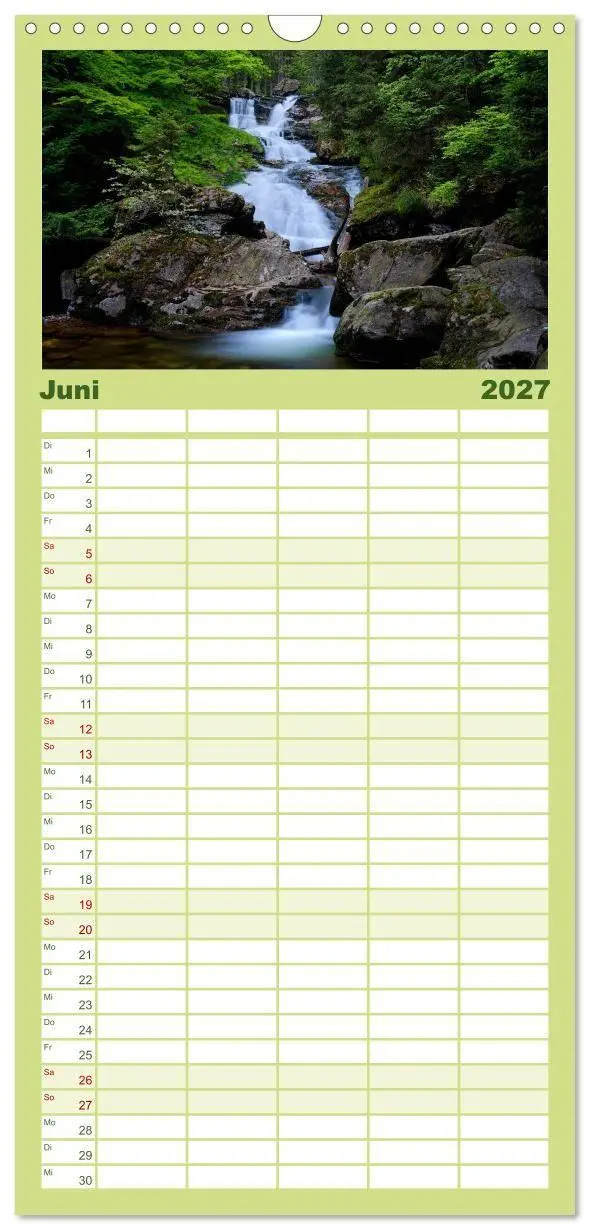Bild: 9783594336687 | Familienplaner 2027 - Mysterium Wald mit 5 Spalten (Wandkalender,...