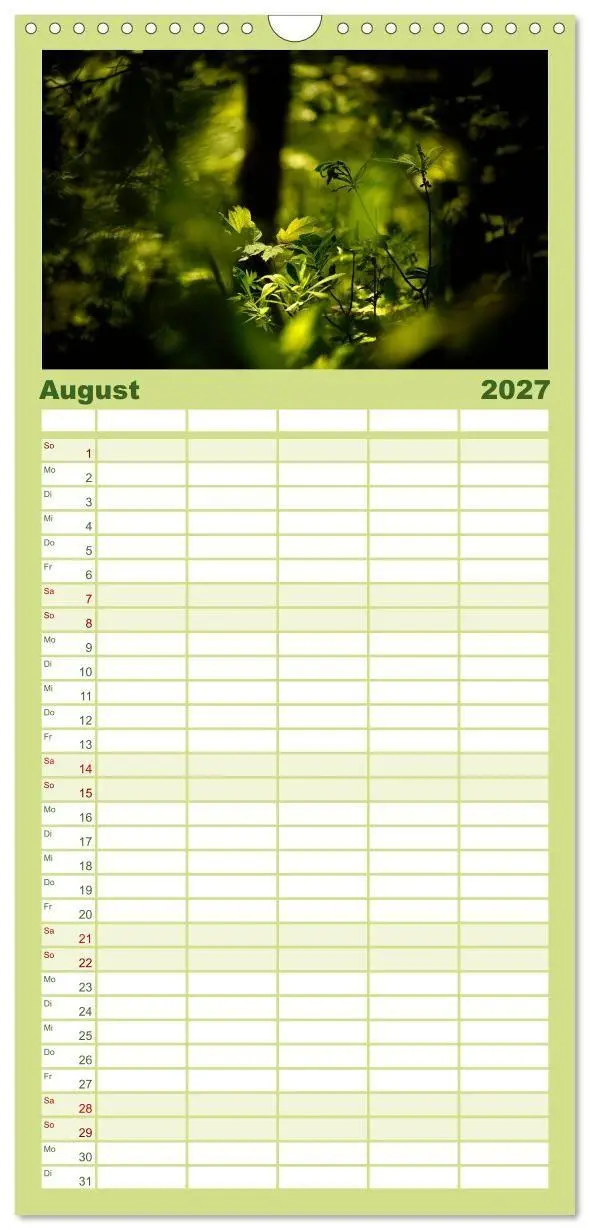 Bild: 9783594336687 | Familienplaner 2027 - Mysterium Wald mit 5 Spalten (Wandkalender,...