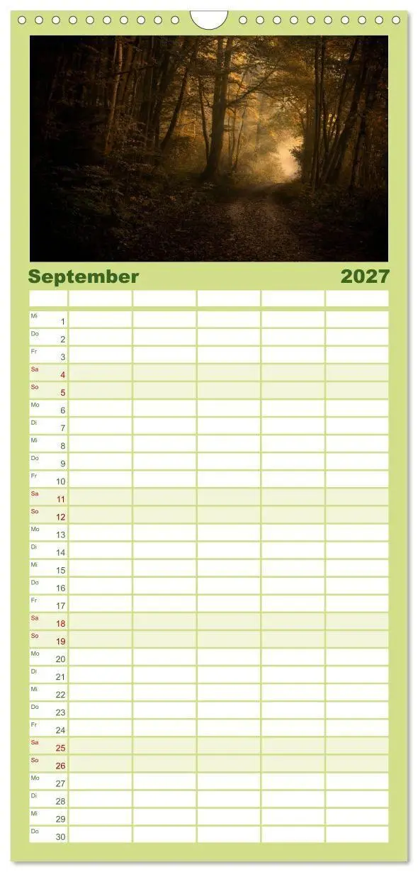 Bild: 9783594336687 | Familienplaner 2027 - Mysterium Wald mit 5 Spalten (Wandkalender,...