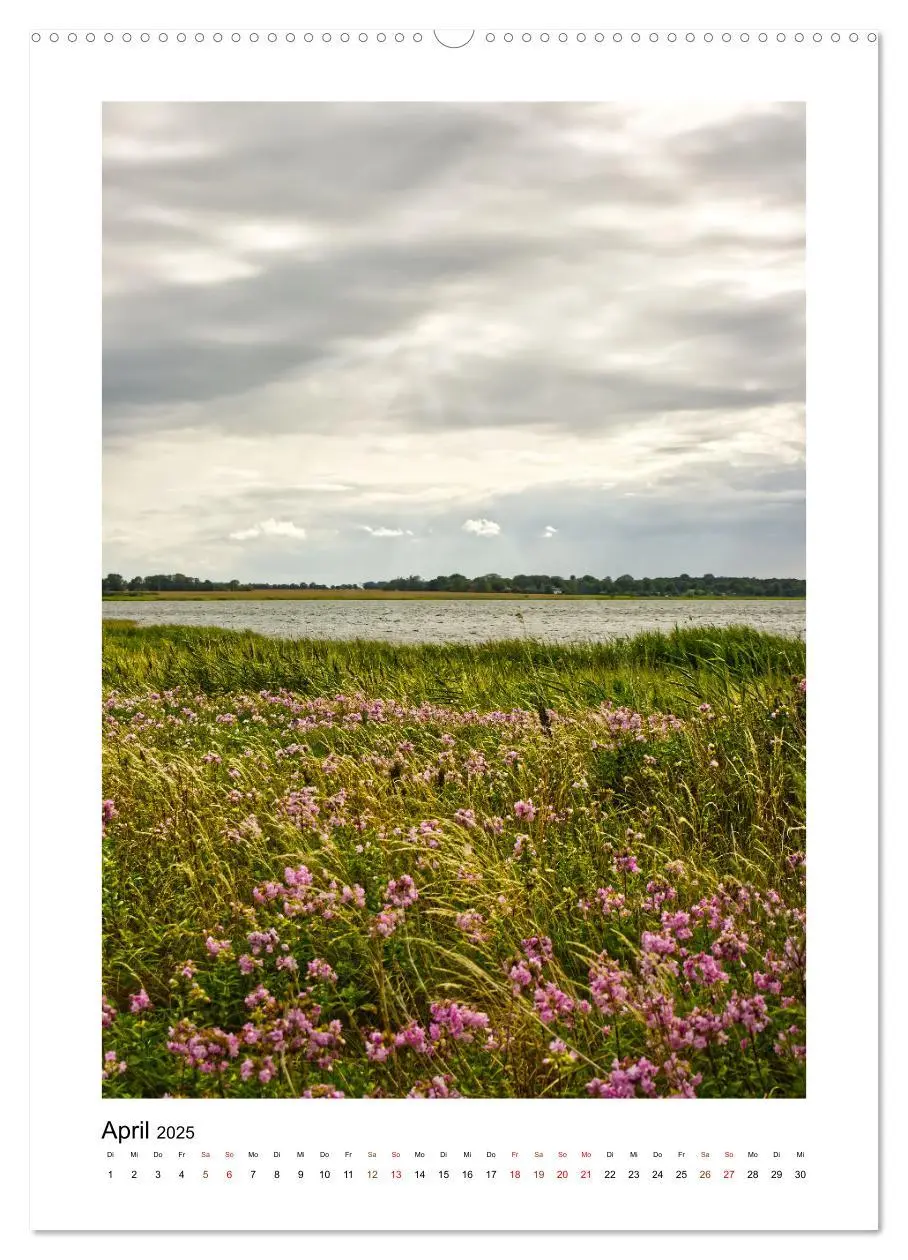 Bild: 9783435856787 | Vorpommern, Impressionen von Ostsee und Bodden (Wandkalender 2025...