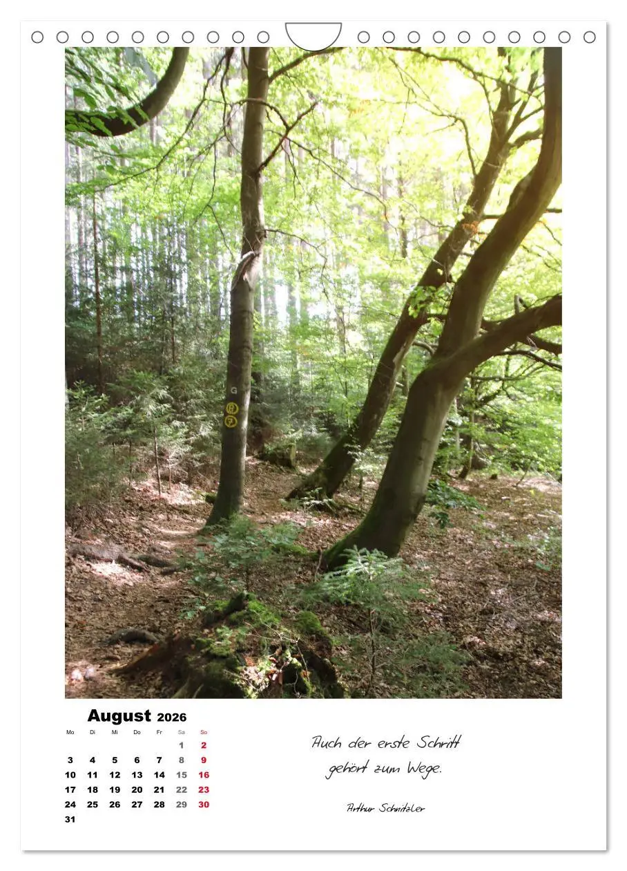 Bild: 9783516416787 | Wege durchs Jahr - Spaziergänge im schönen Nordhessen (Wandkalender...