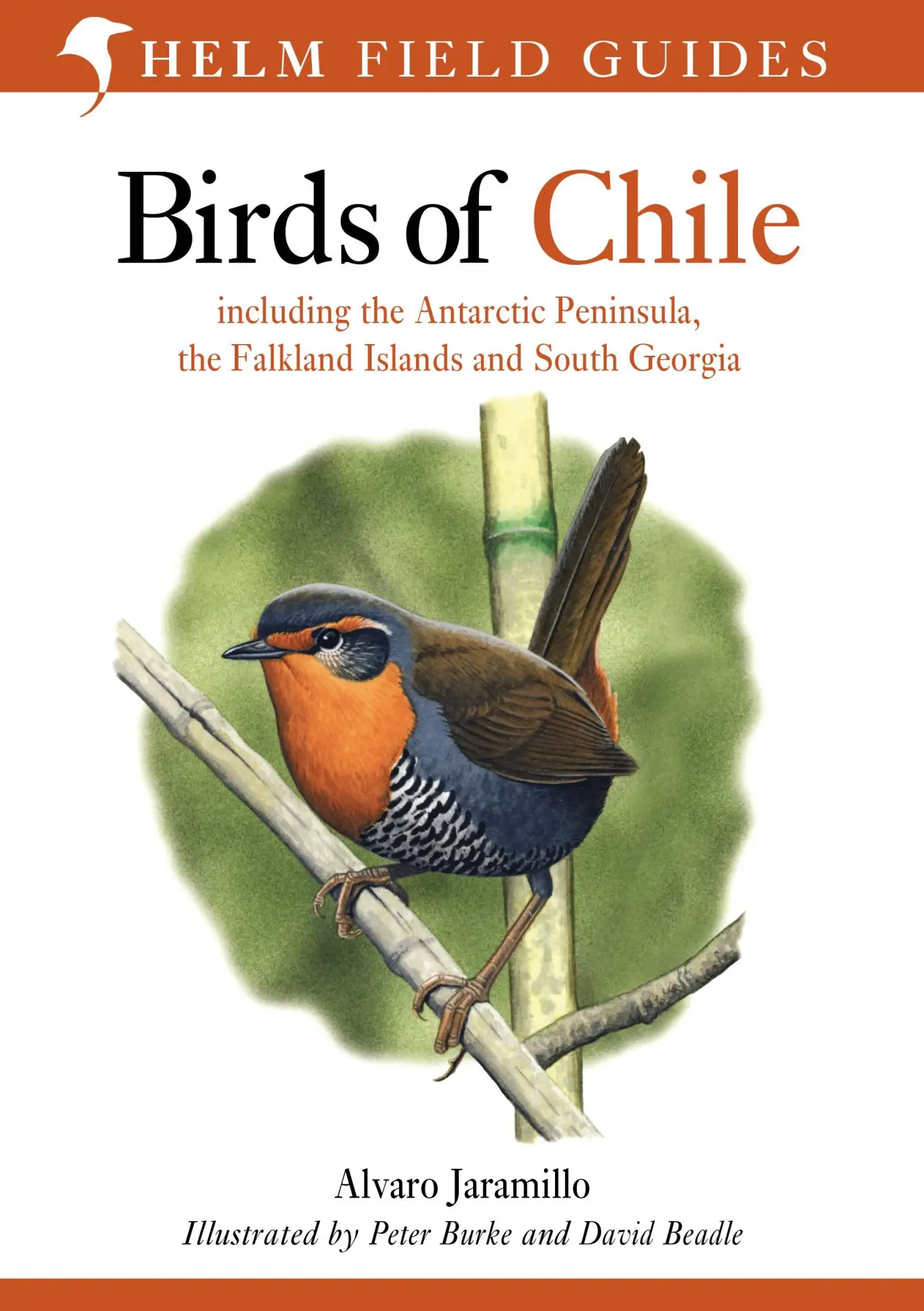Cover: 9780713646887 | Birds of Chile | Alvaro Jaramillo | Taschenbuch | Englisch | 2003