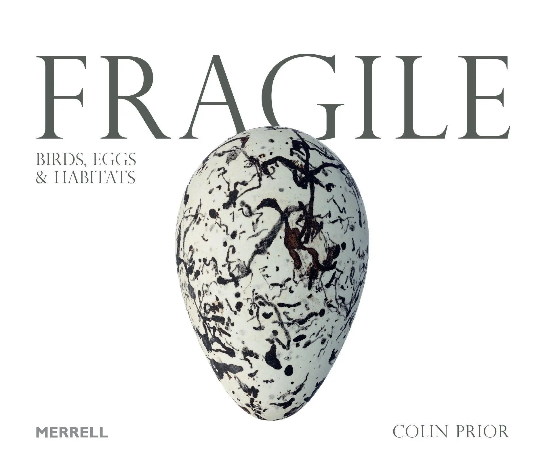 Cover: 9781858946887 | Fragile: Birds, Eggs and Habitats | Colin Prior | Buch | Gebunden