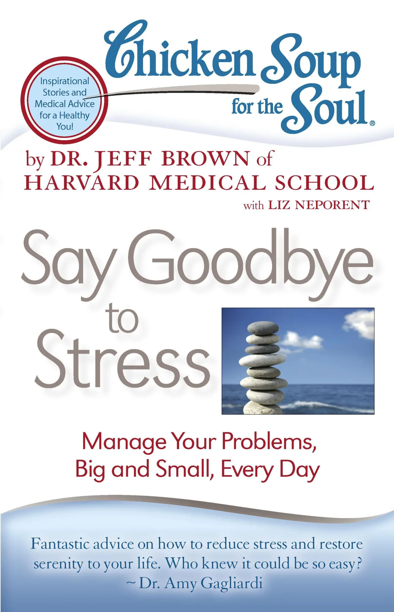 Cover: 9781935096887 | Chicken Soup for the Soul: Say Goodbye to Stress | Jeff Brown | Buch