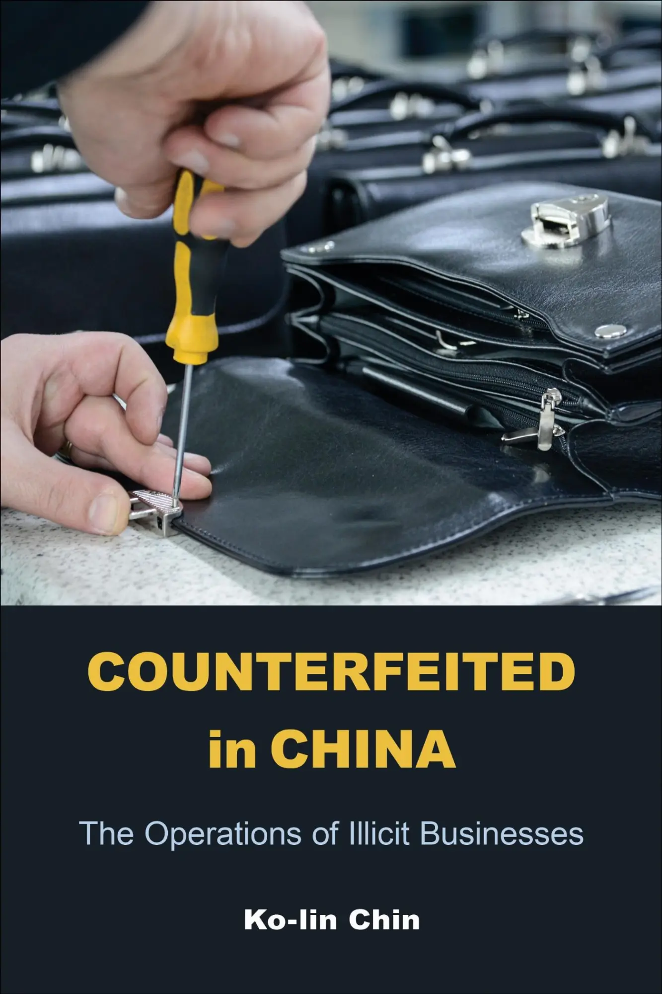 Cover: 9781439926987 | Counterfeited in China | The Operations of Illicit Businesses | Chin