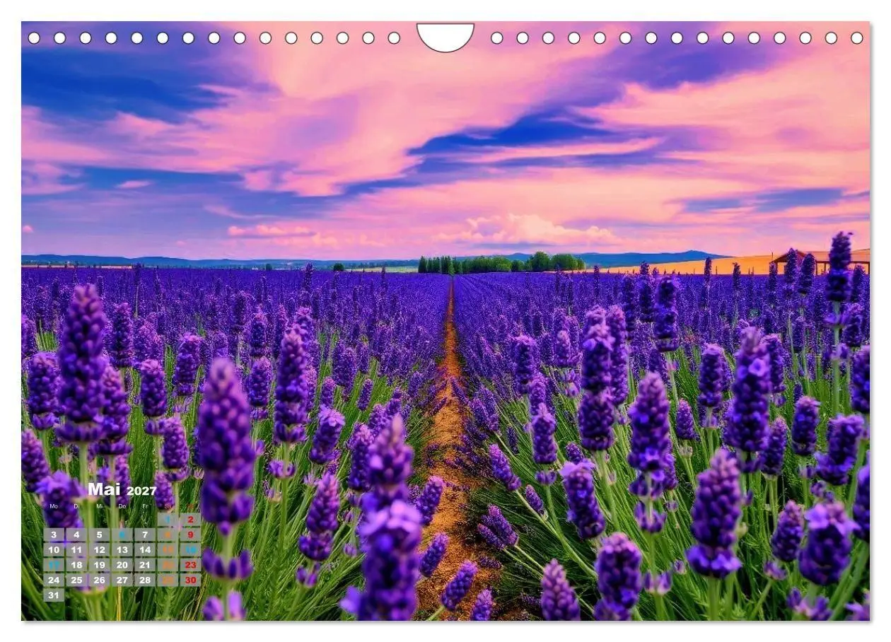 Bild: 9783516876987 | Lavendel für deine Sinne (Wandkalender 2027 DIN A4 quer), CALVENDO...