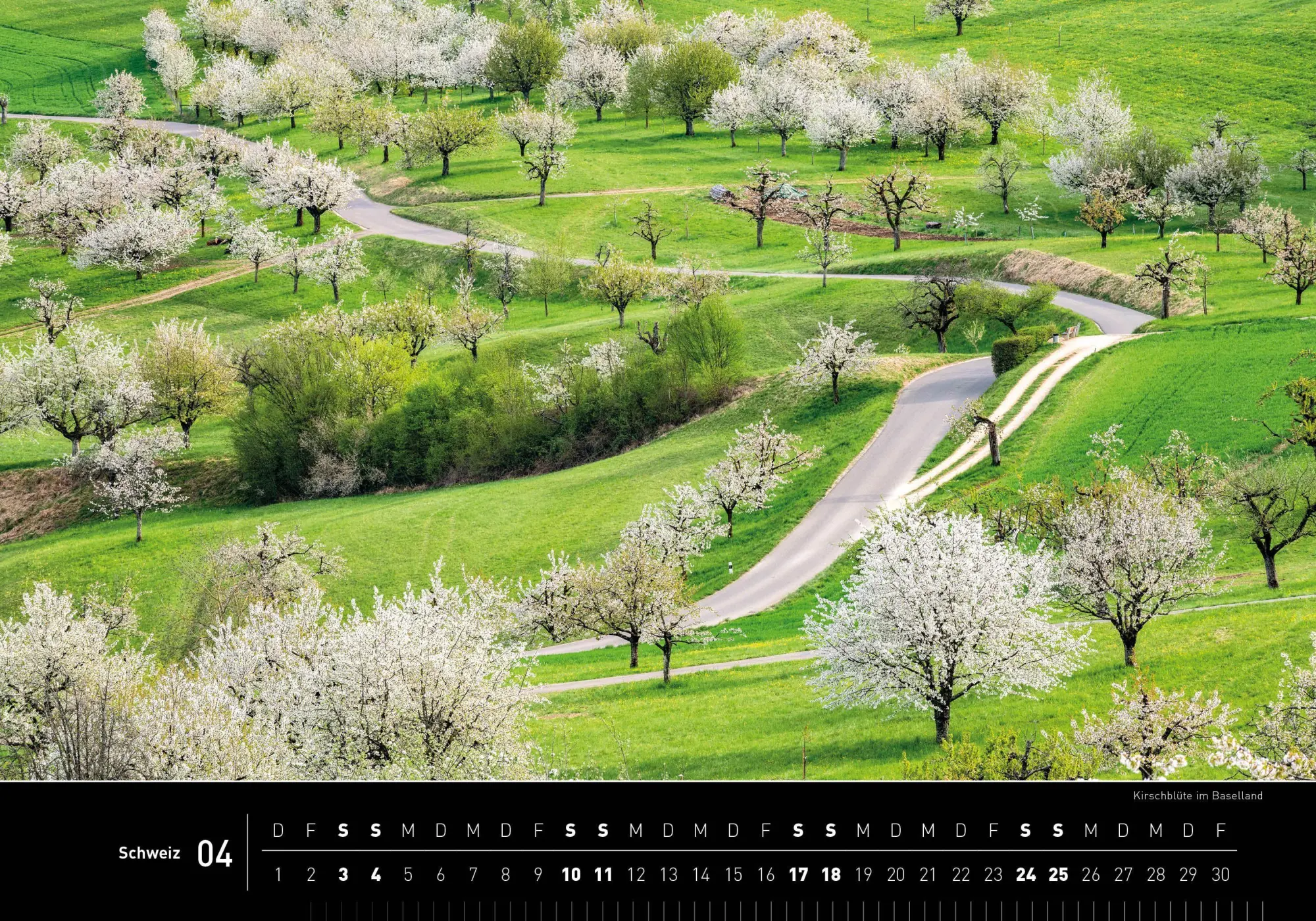 Bild: 9783968556987 | Schweiz Premiumkalender 2027 | Robert Haasmann | Kalender | 14 S.