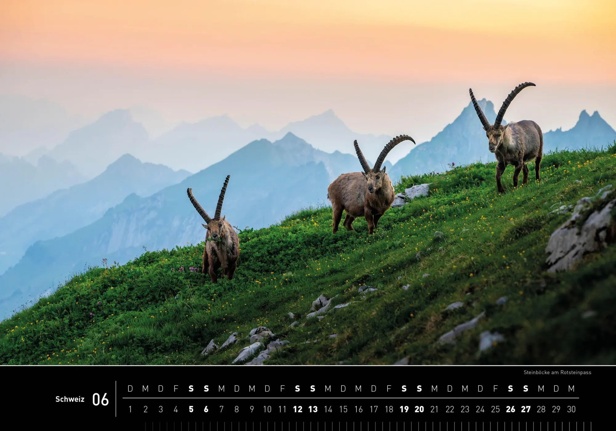 Bild: 9783968556987 | Schweiz Premiumkalender 2027 | Robert Haasmann | Kalender | 14 S.