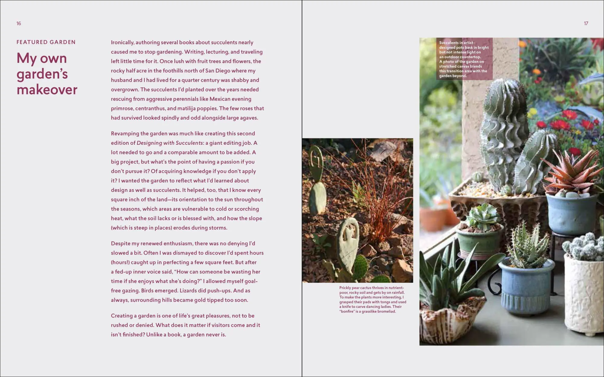 Bild: 9781604697087 | Designing with Succulents | Debra Lee Baldwin | Buch | Gebunden | 2017
