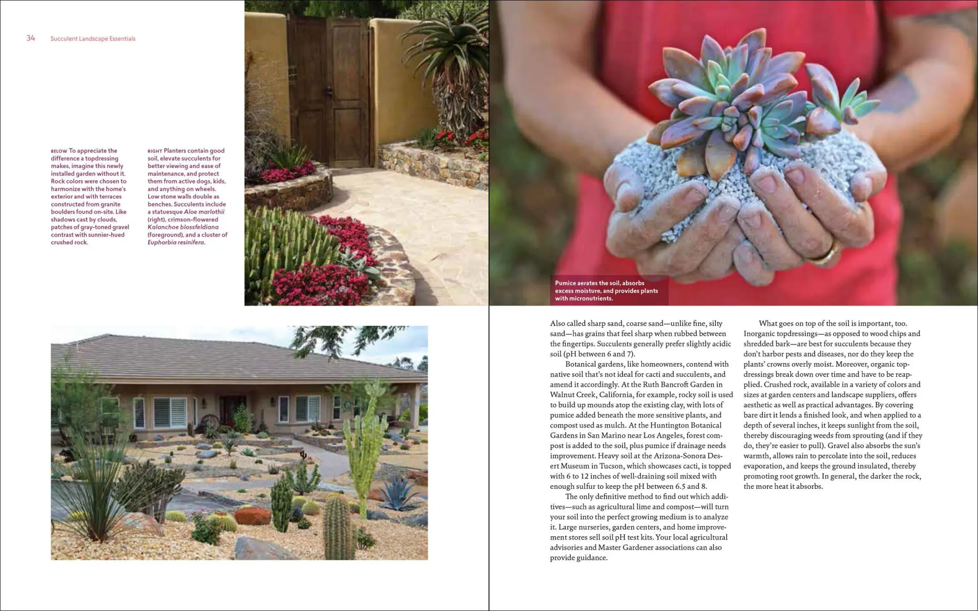 Bild: 9781604697087 | Designing with Succulents | Debra Lee Baldwin | Buch | Gebunden | 2017